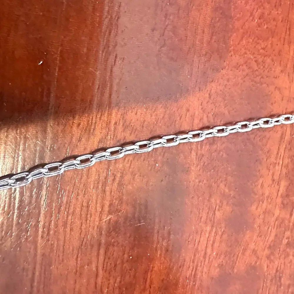 Lia Sophia Necklace NWT Silver tone Chain Link Minimalist 30